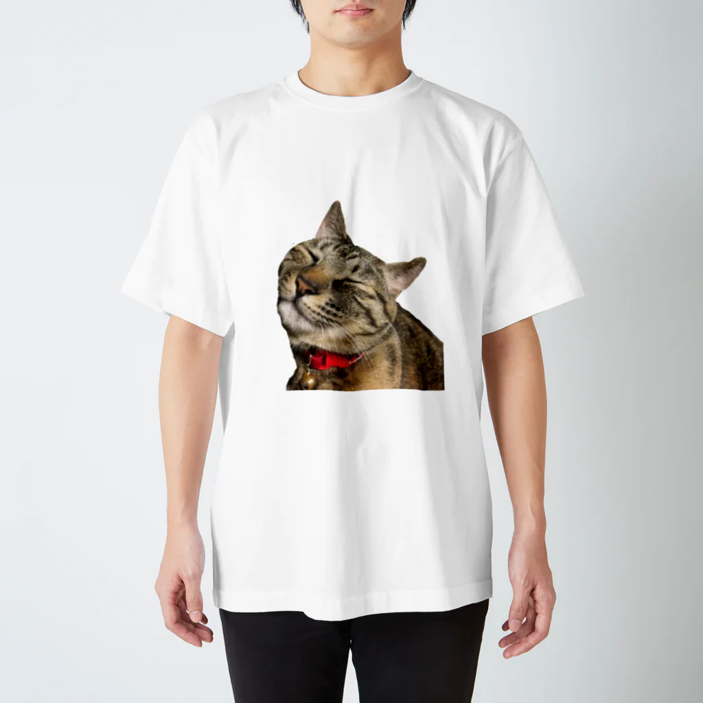 ねこまちランドのモカのお眠りタイム スタンダードTシャツ