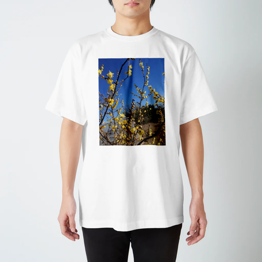 ふかみどりのお家の晴れた日の畑 スタンダードTシャツ