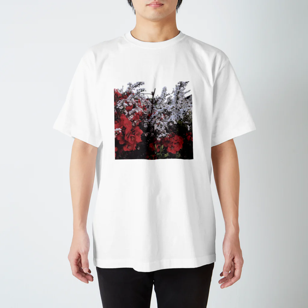 てふちゃんです。の雪柳と紅梅と空 Regular Fit T-Shirt