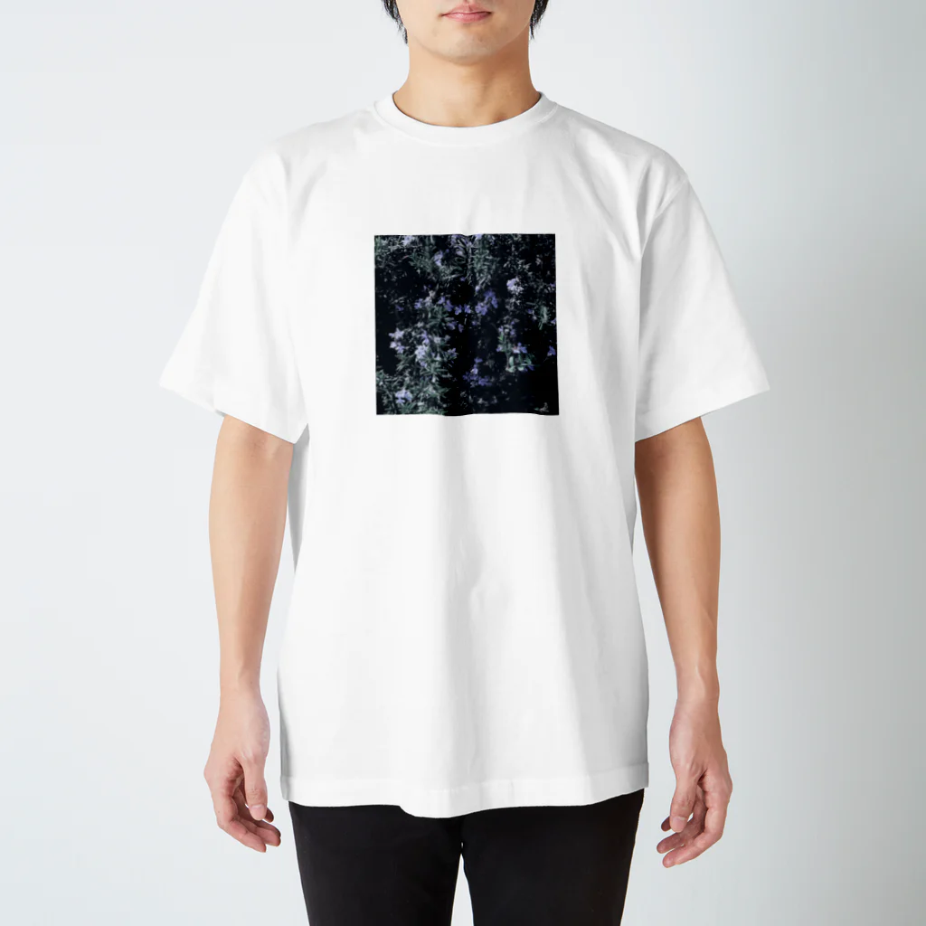 てふちゃんです。のローズマリーの花 スタンダードTシャツ