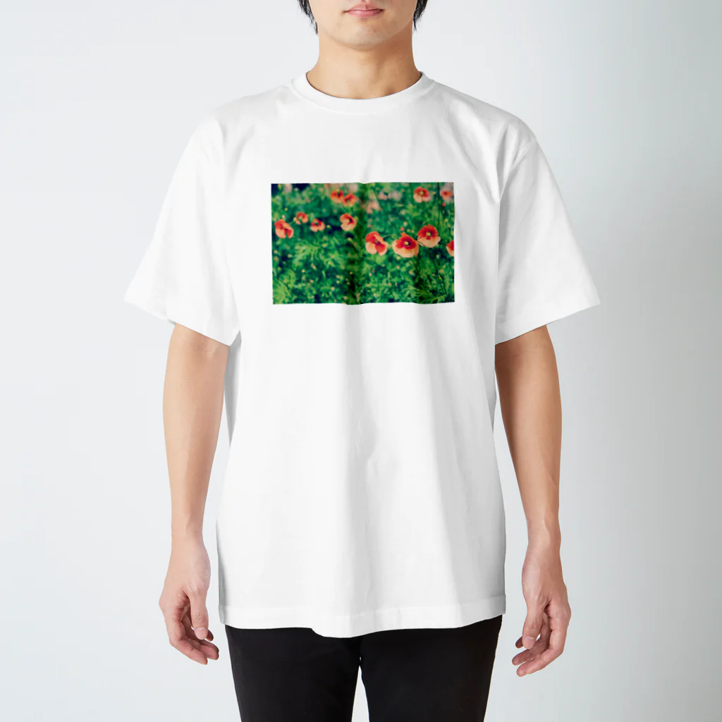 如夢幻の晴れのポピー スタンダードTシャツ