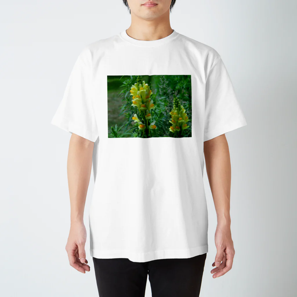 有川　弘治の夏花 Regular Fit T-Shirt