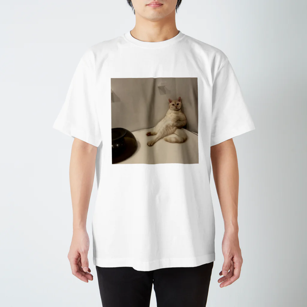 mekuso_necoのくつろぎ猫 Regular Fit T-Shirt