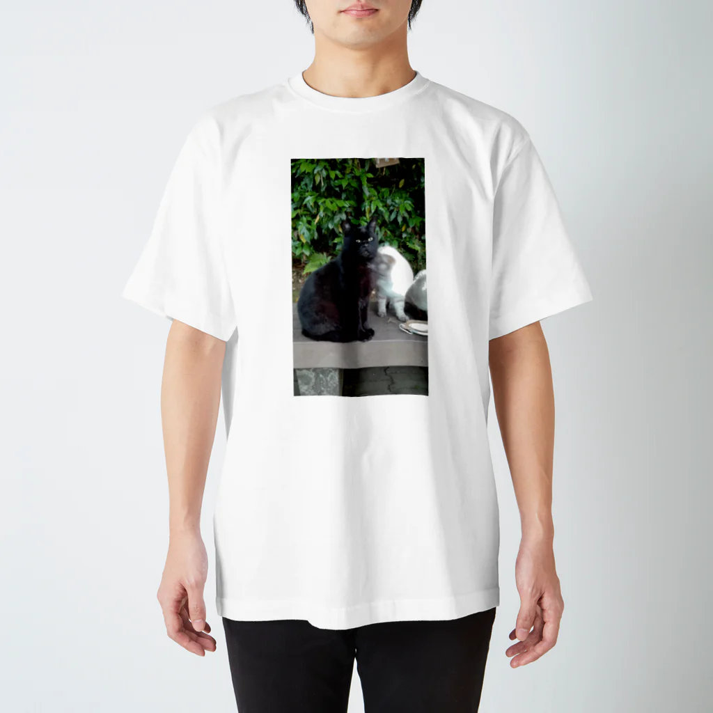 ニャーのクロぼん Regular Fit T-Shirt