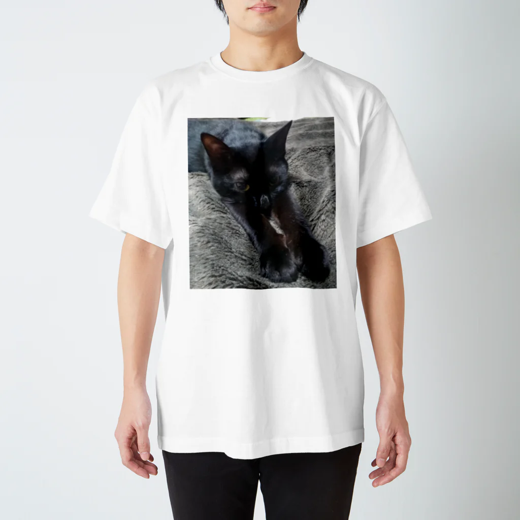 Tottemokanataの黒猫ぱんち スタンダードTシャツ