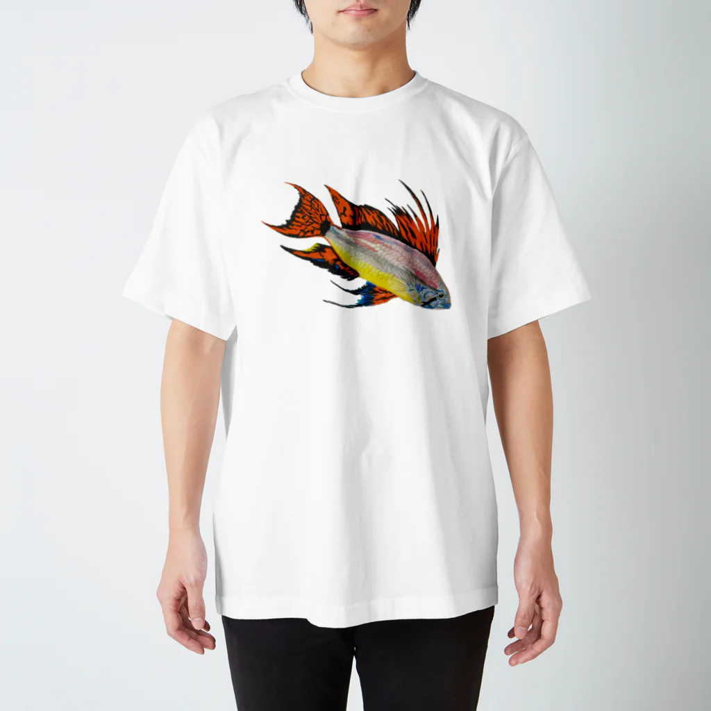 Coshi-Mild-Wildのアピストグラマ・カカトゥオイデス‼️ Regular Fit T-Shirt