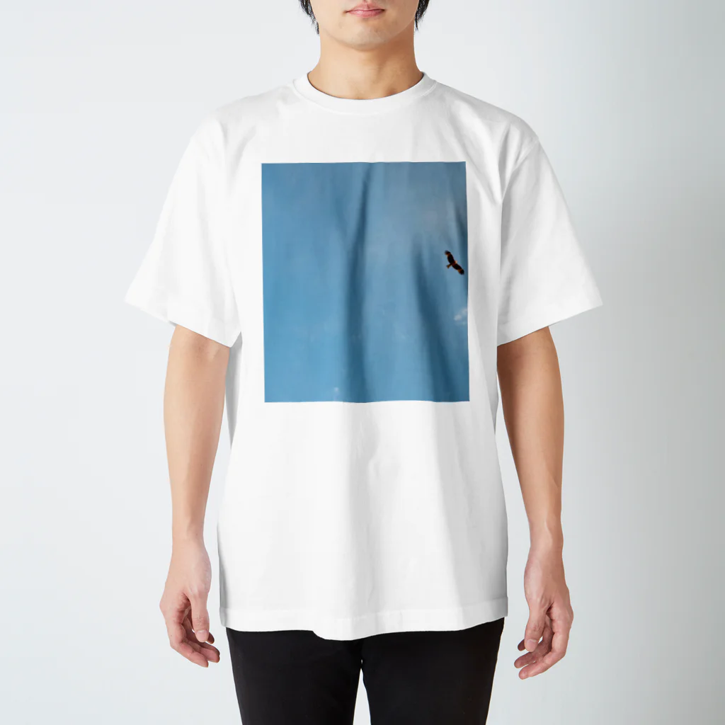 AwesomeのSky 2 Regular Fit T-Shirt