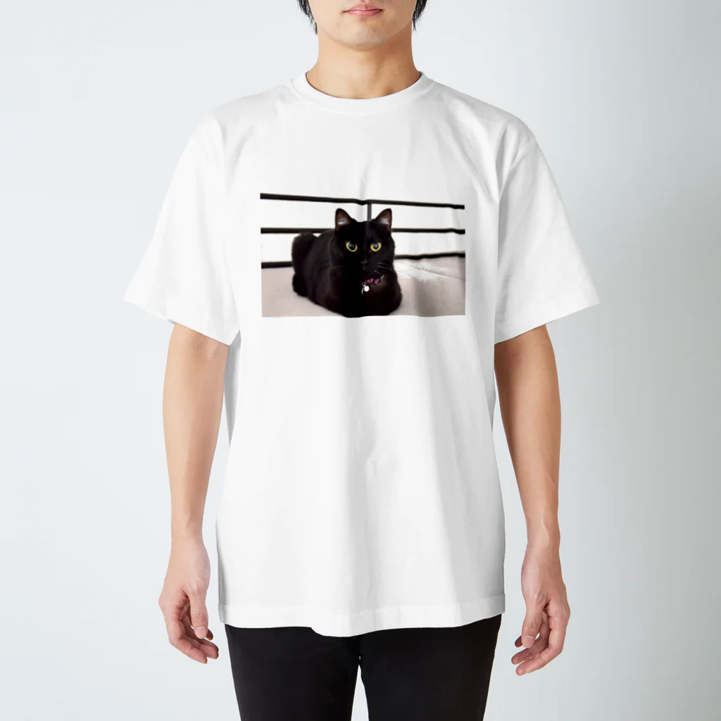 黒猫のうめたんの黒猫のうめたん スタンダードTシャツ