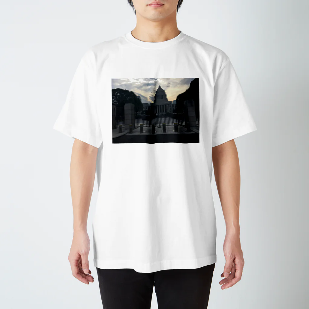 TRIP TRIPのThe 国会議事堂 Regular Fit T-Shirt