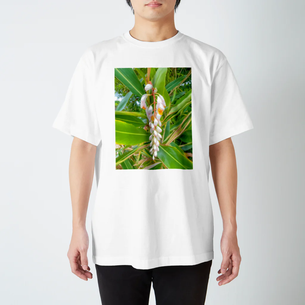 mizuphoto galleryの月桃 スタンダードTシャツ