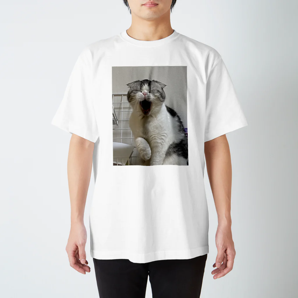 No Cats No LifeのMee3 スタンダードTシャツ