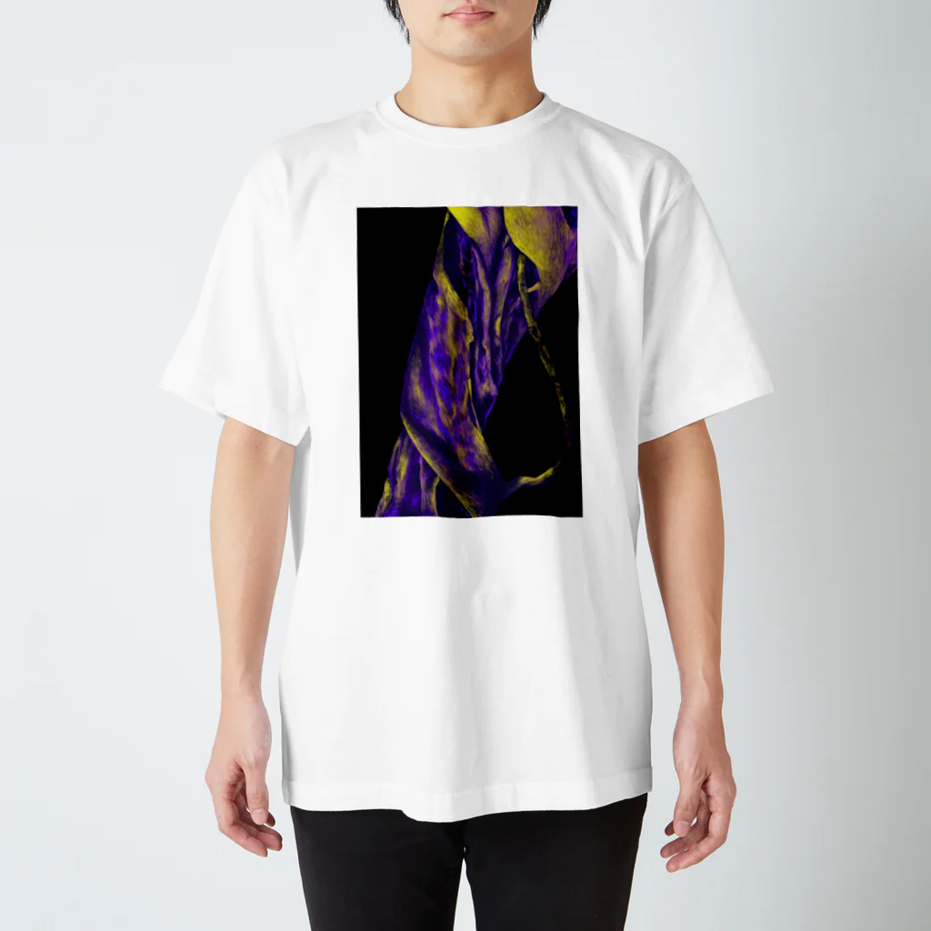 みうらの樹木 Regular Fit T-Shirt