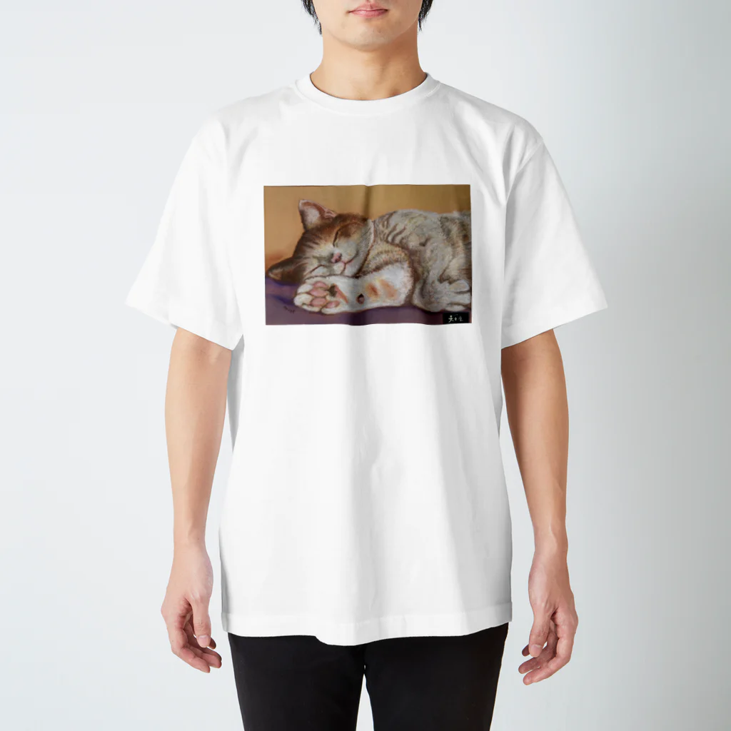 天女座の天女座にゃんこ Regular Fit T-Shirt