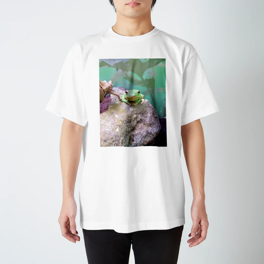 kopanの虹の世界のご利益があるカエルさん スタンダードTシャツ