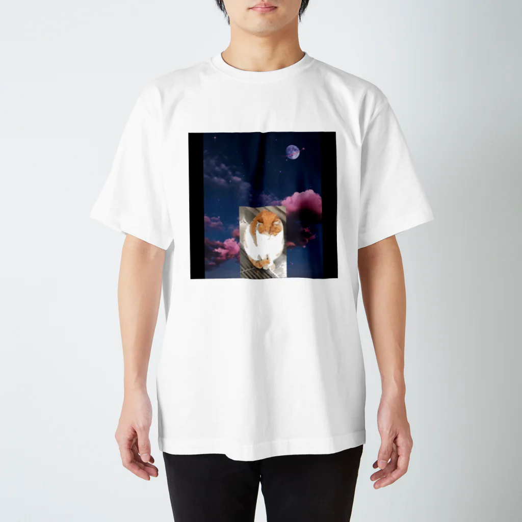 mikami🐬🏯身体弱いの猫がすき スタンダードTシャツ