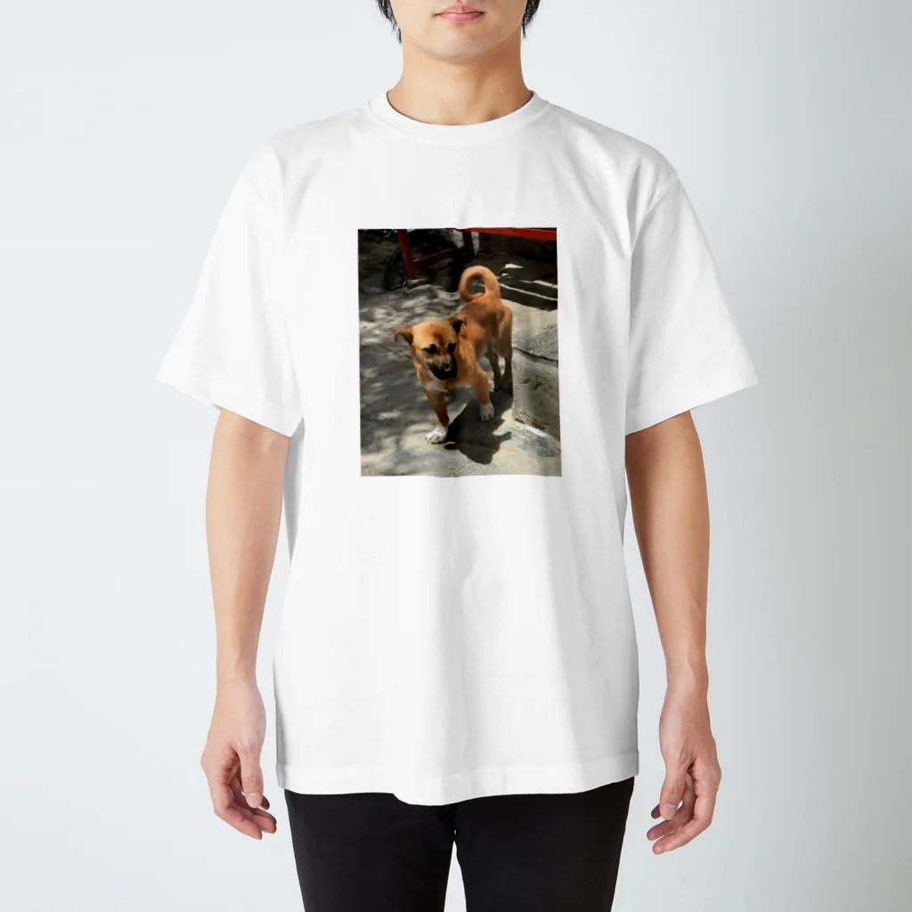 エキサイティングファクトリーのもじもじ犬 スタンダードTシャツ