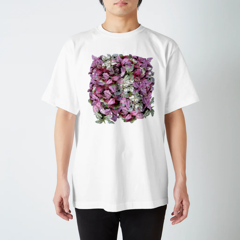 花水のカラフル葉 Regular Fit T-Shirt