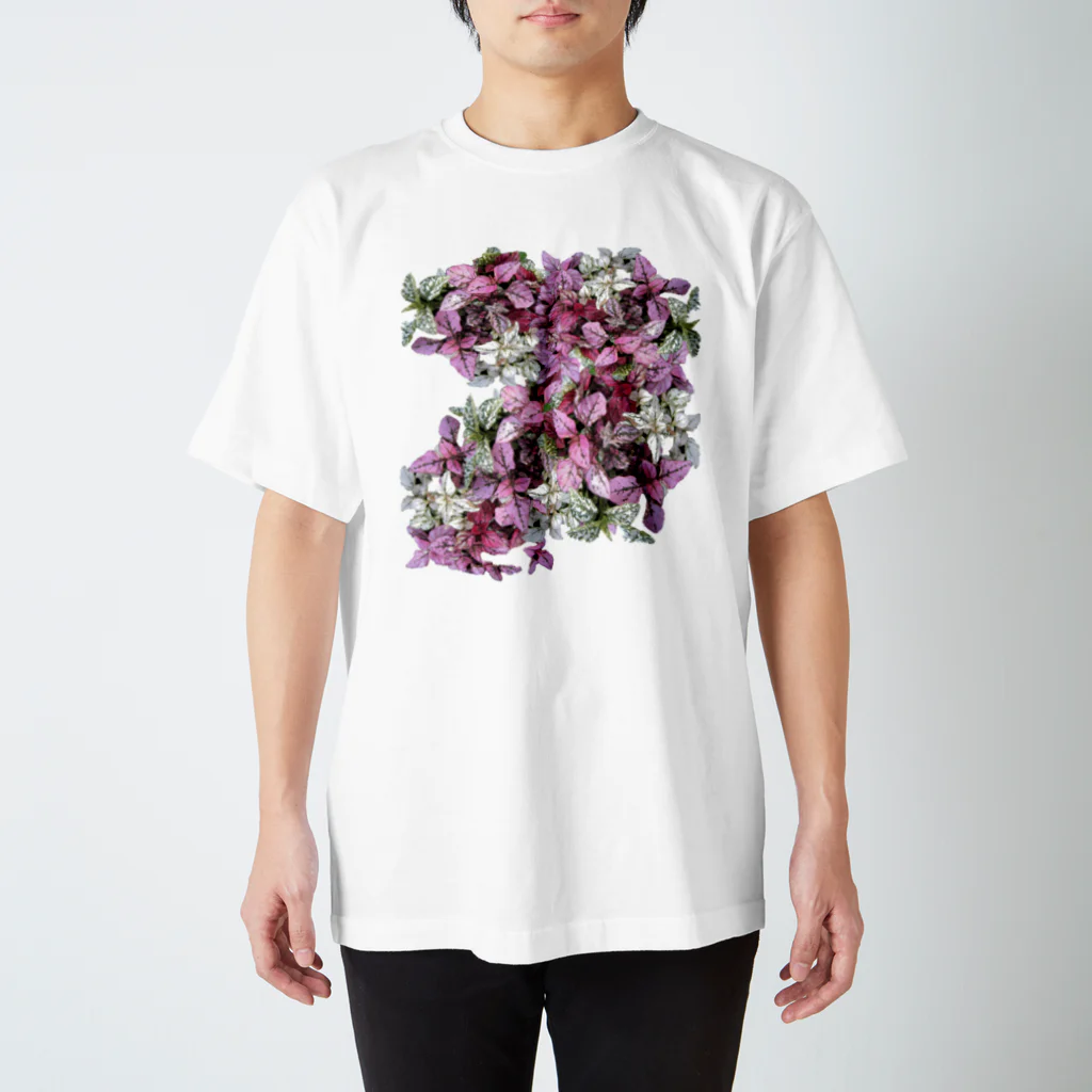 花水のカラフル葉２ スタンダードTシャツ