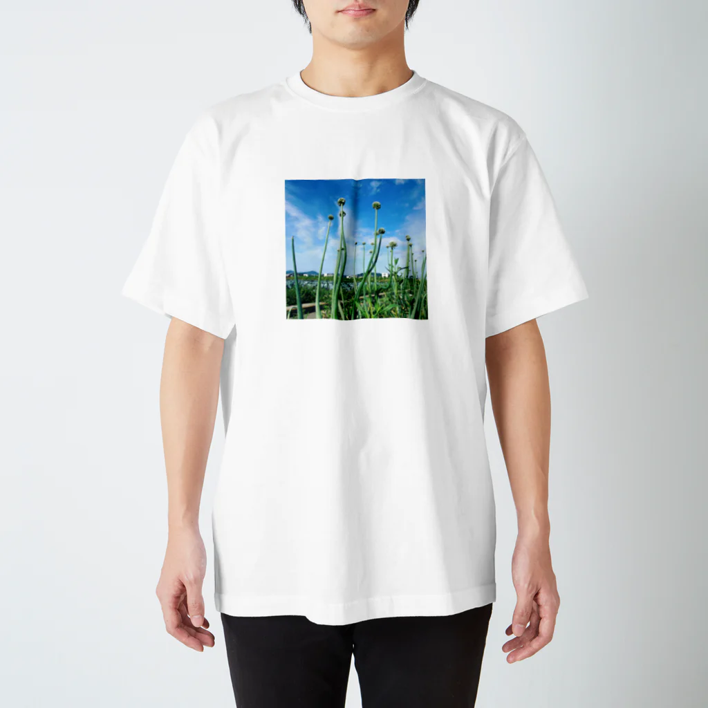 淡路島の風景の淡路島たまねぎ   坊主 スタンダードTシャツ