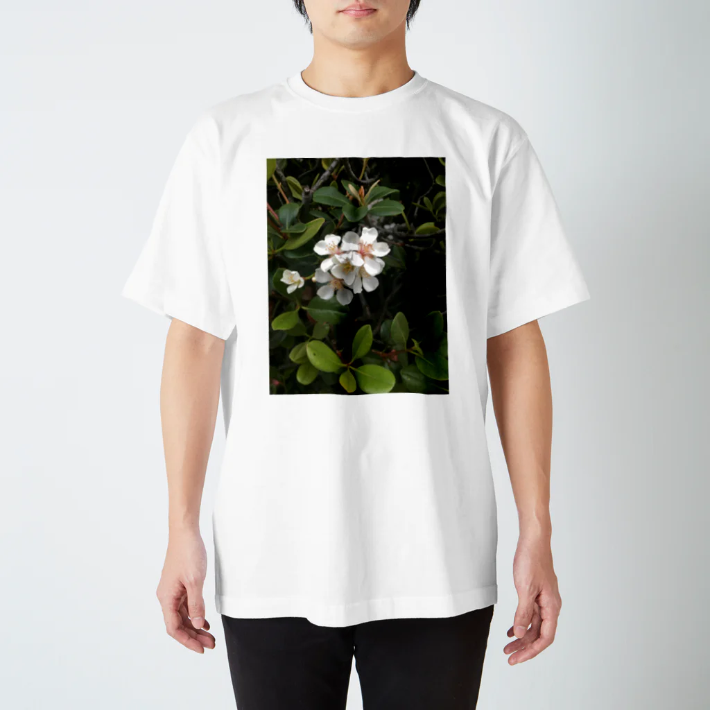 除夜の公園の花 スタンダードTシャツ