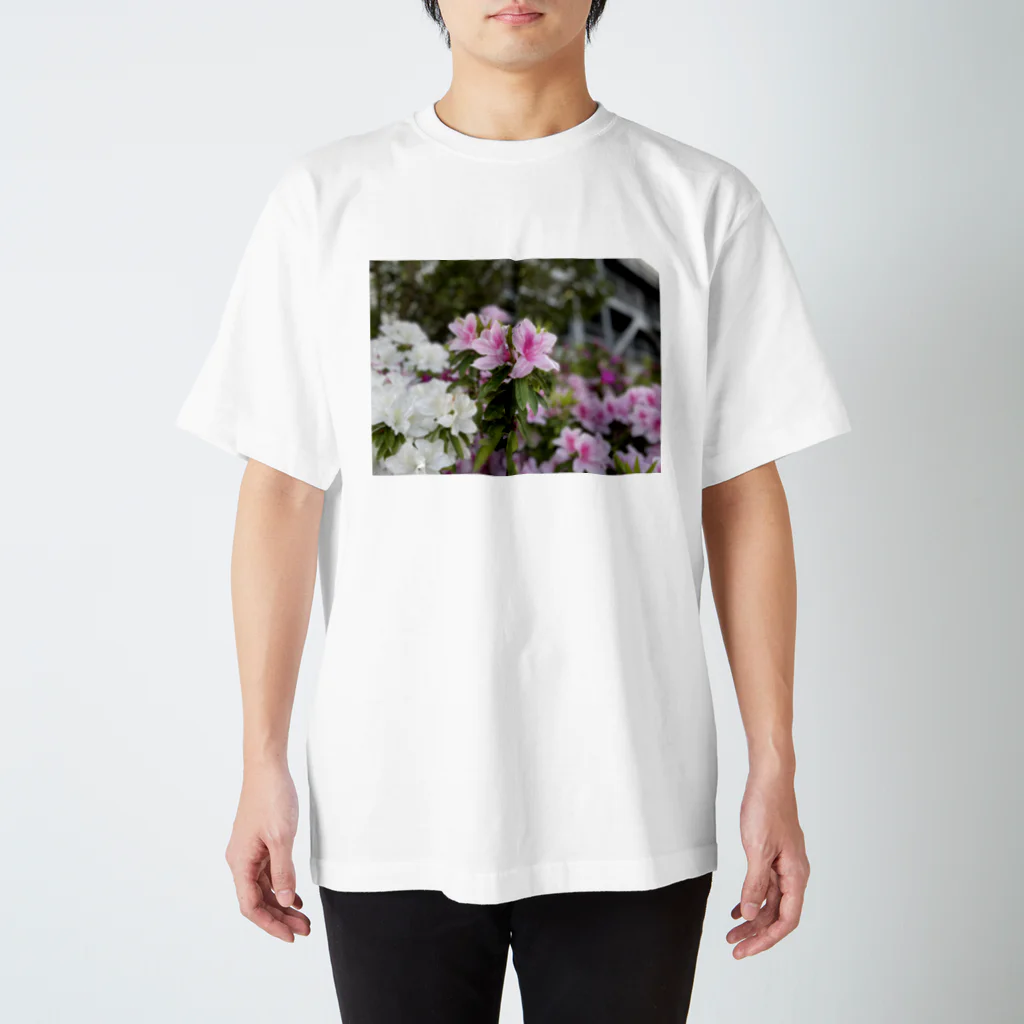 °だるまの花 スタンダードTシャツ