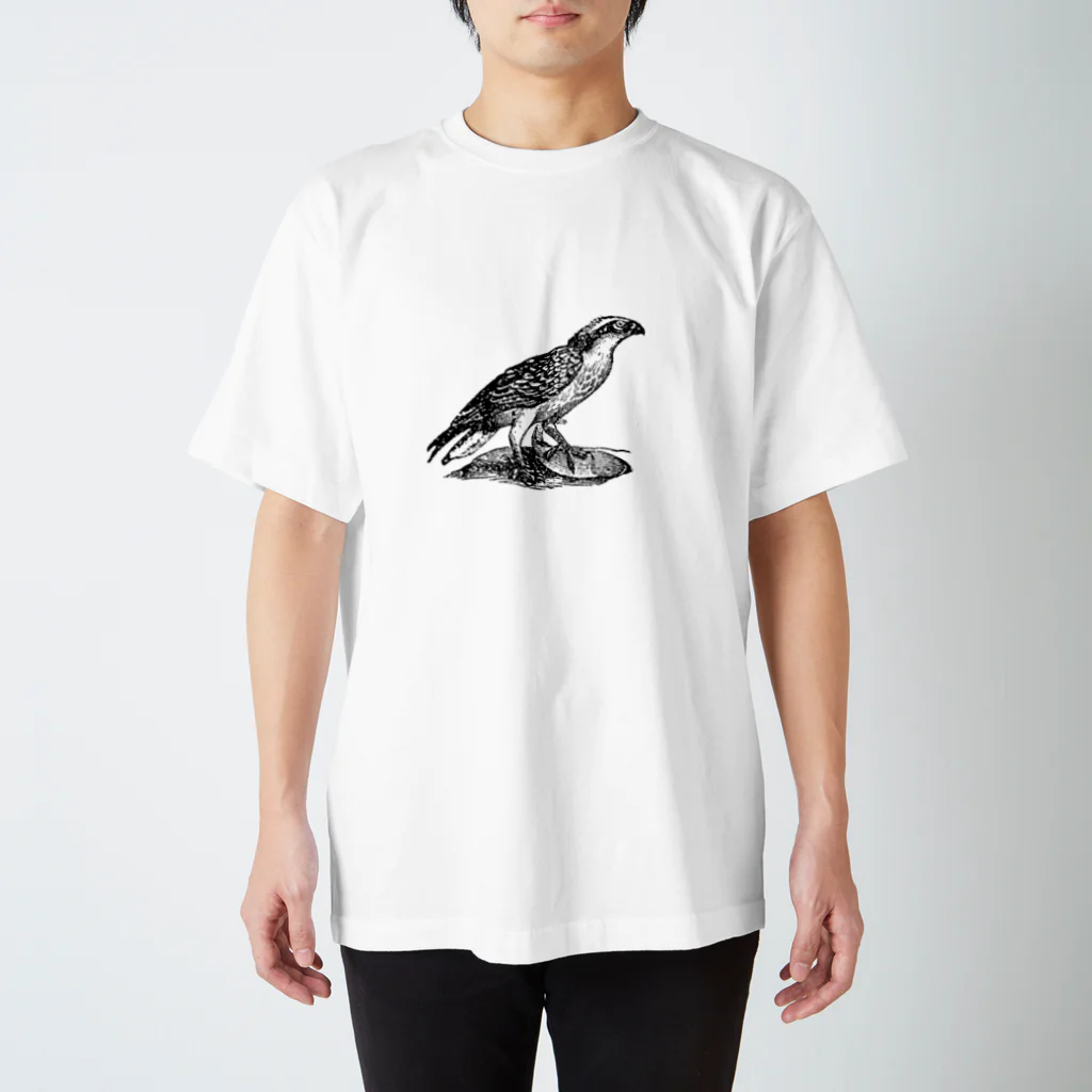 れとろらぼの鳥T スタンダードTシャツ