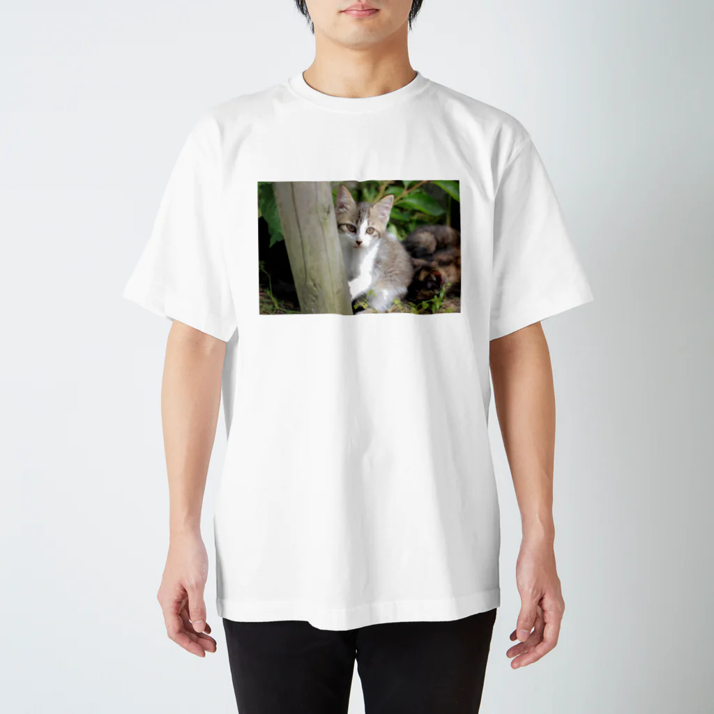 kawaii-keiのそっと様子をうかがう猫ちゃん スタンダードTシャツ