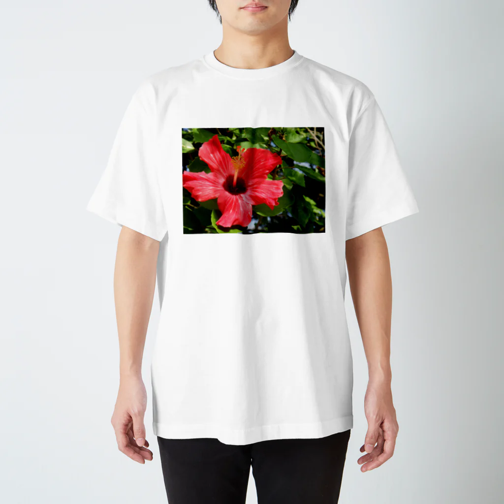 kawaii-keiのハイビスカス Regular Fit T-Shirt