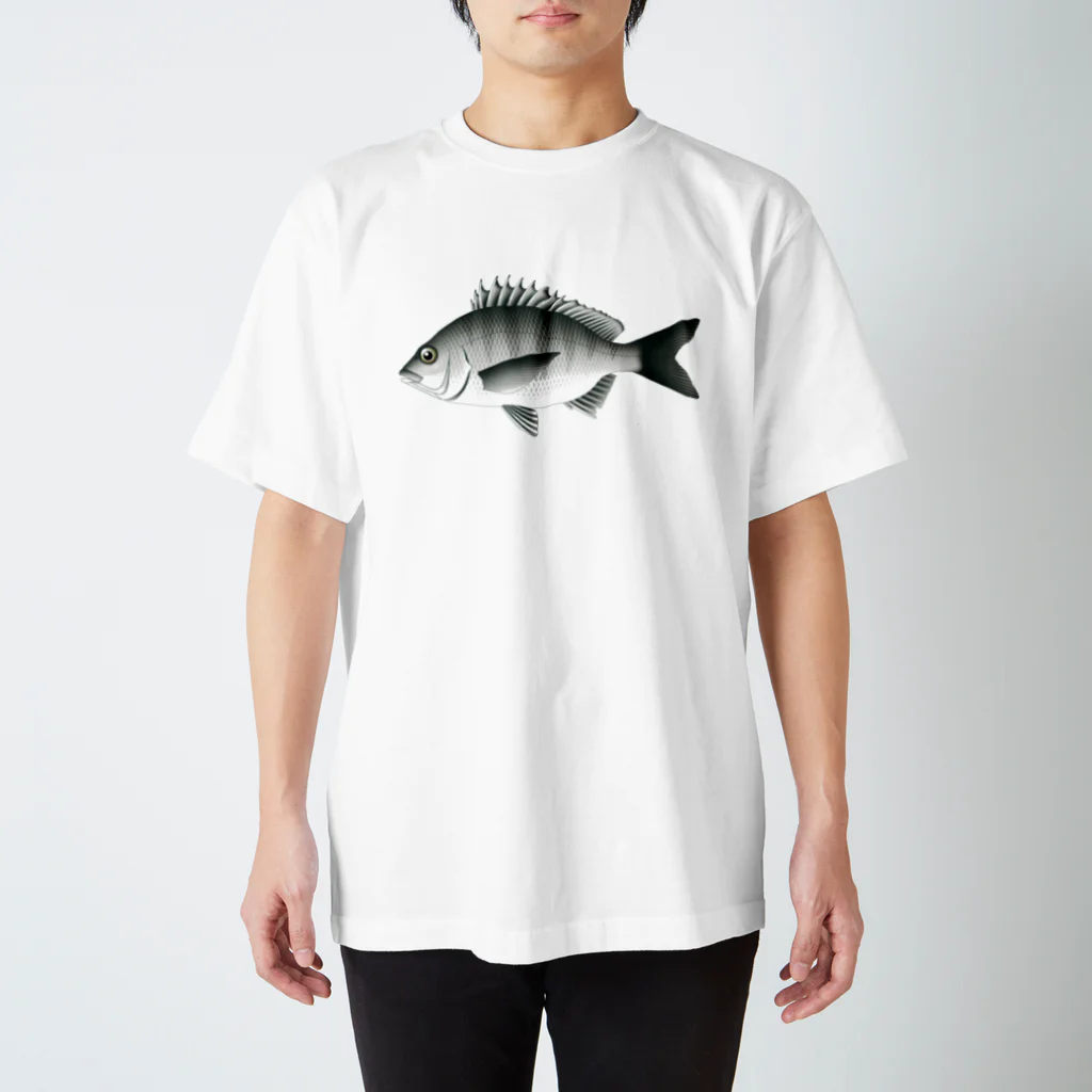【魚類】おさかなちゃん☆図鑑の【魚類】クロダイちゃん☆黒鯛 スタンダードTシャツ