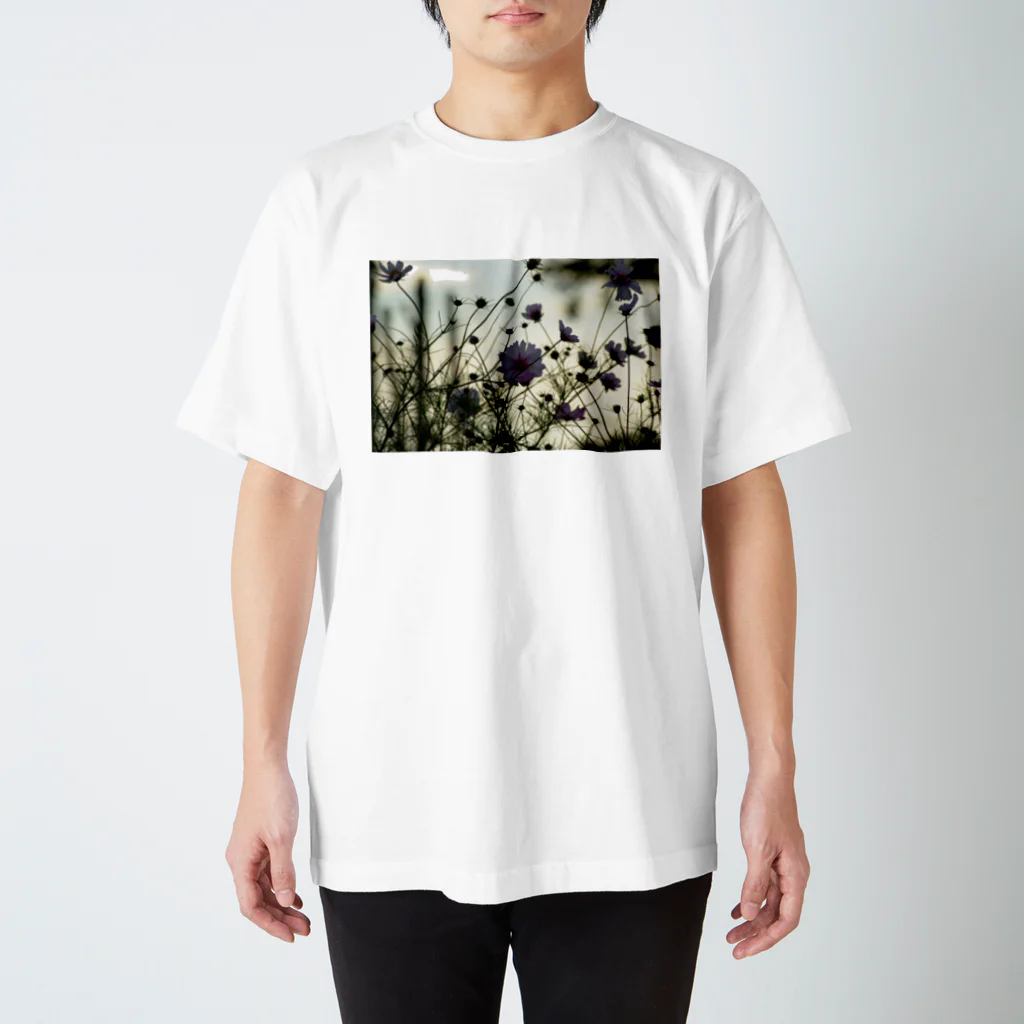 upafishの秋桜 スタンダードTシャツ