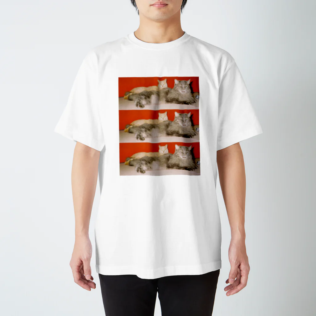 kairi nagashimaのmycats Regular Fit T-Shirt