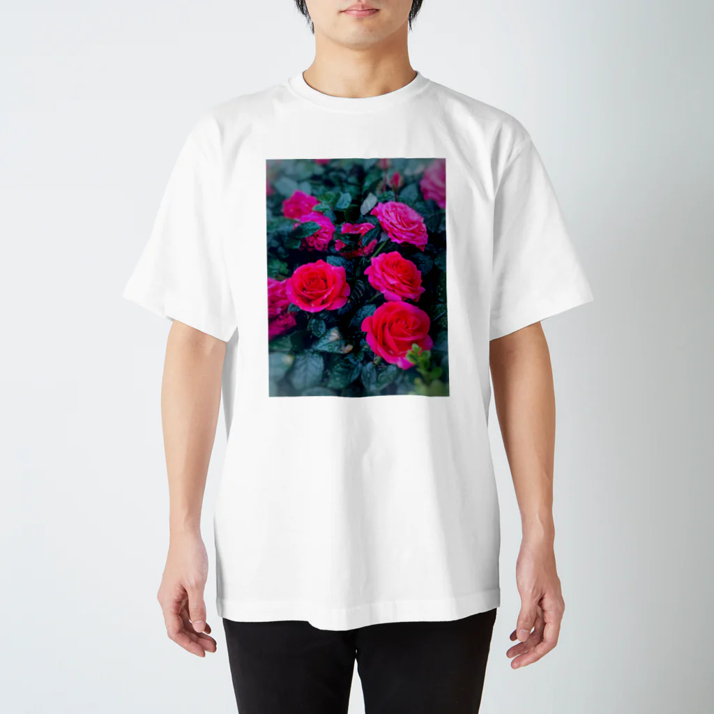 ナスタチウムのお花図鑑の雨の日のバラの世界 スタンダードTシャツ