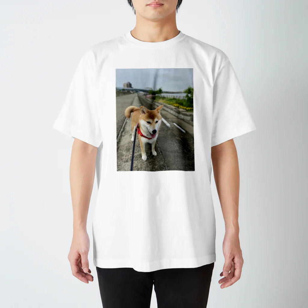 笛ガムのお散歩犬 スタンダードTシャツ