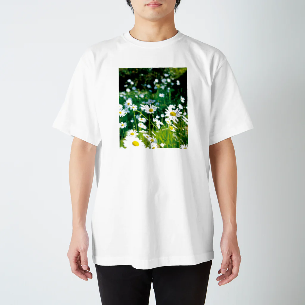 akane_art（茜音工房）の癒しの風景（シャスタデイジー） スタンダードTシャツ