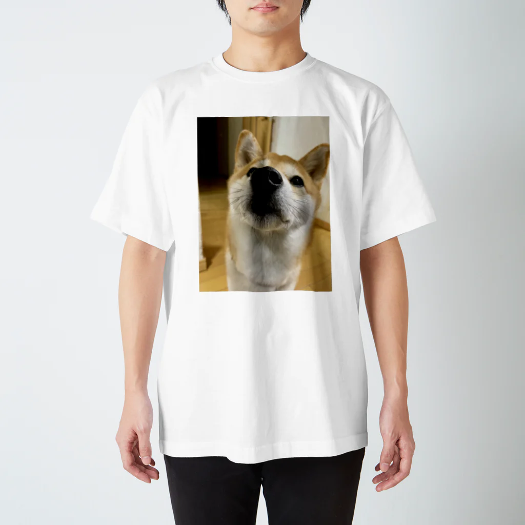 笛ガムの近犬 スタンダードTシャツ