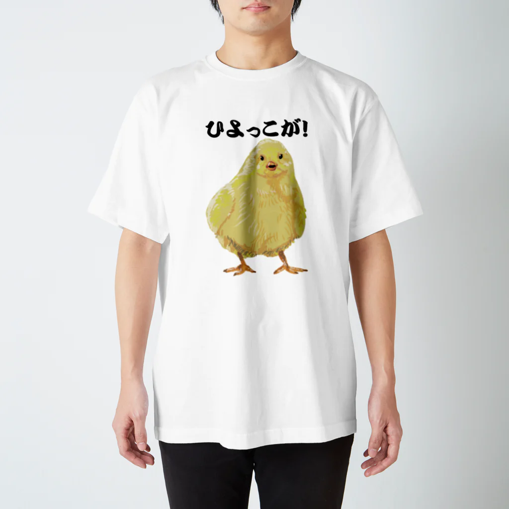 川辺ストアー２号店のひよっこが！ スタンダードTシャツ