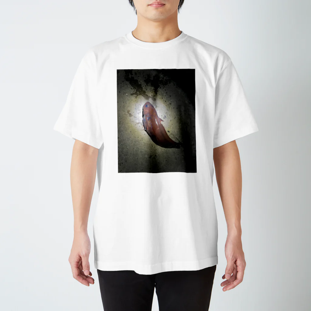 ひざまくらの釣られてやったのだｯｯ!!! Regular Fit T-Shirt