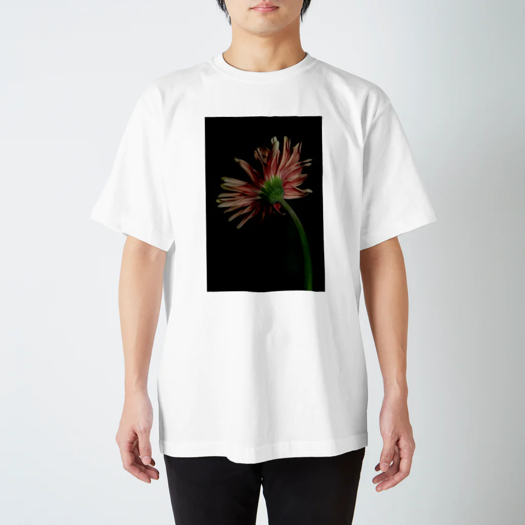 月光のカーベラ スタンダードTシャツ