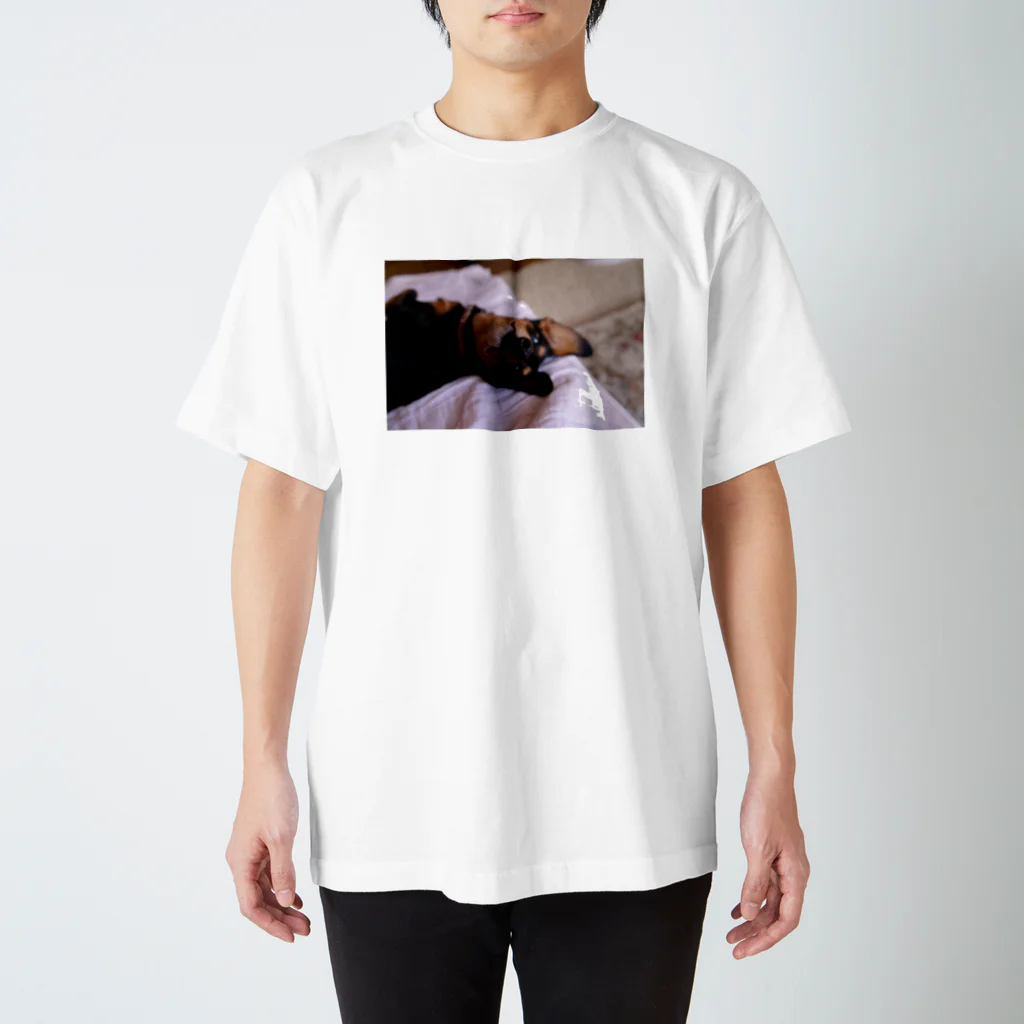 ささぴかいぬしのまっくん Regular Fit T-Shirt