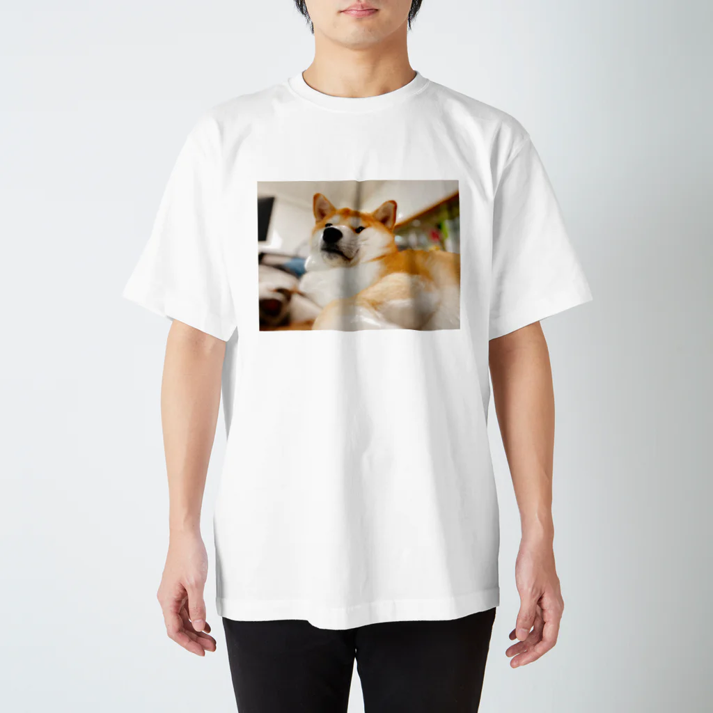 笛ガムのむっちり犬 スタンダードTシャツ