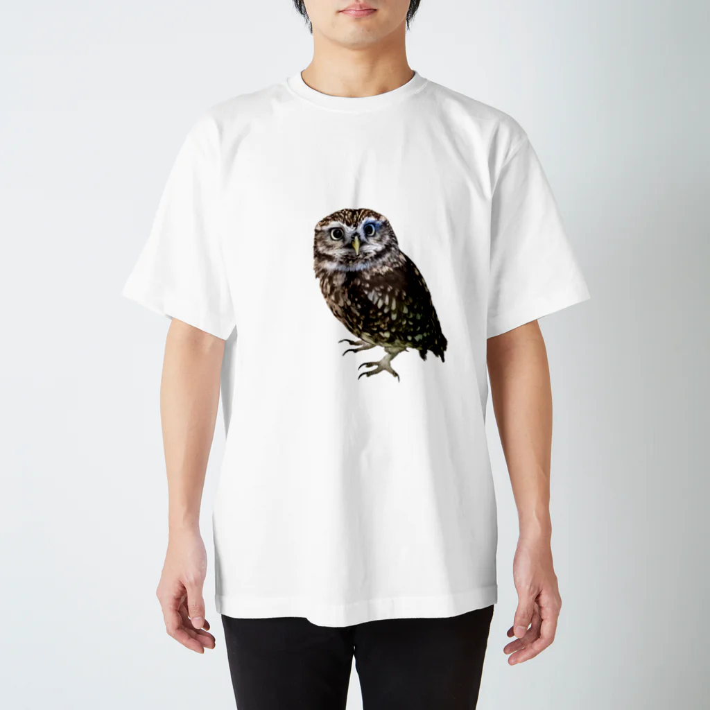 もりふくろうのおうちのコキンメフクロウさん Regular Fit T-Shirt