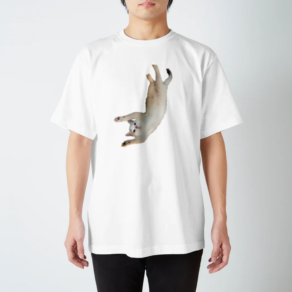 ねこたちのラビティ スタンダードTシャツ