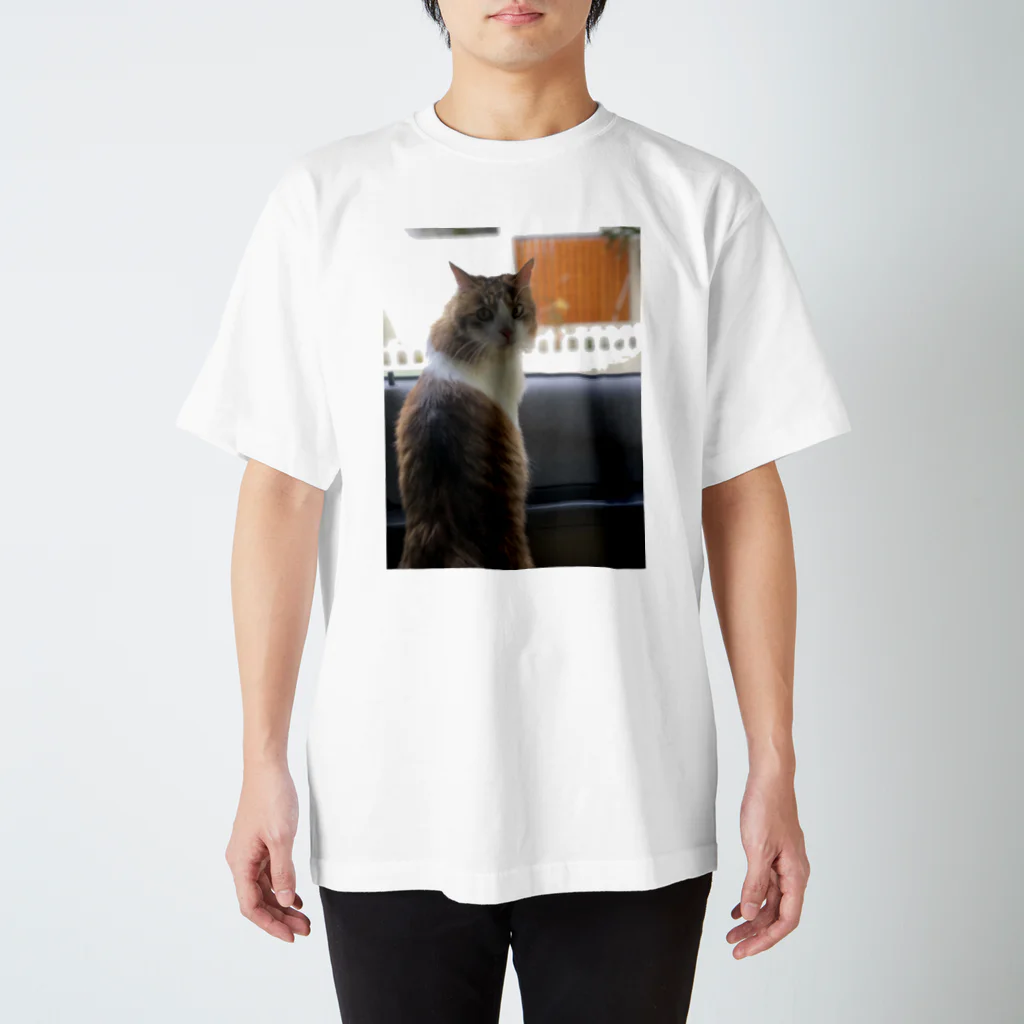 ぺっといすぎ かよのスーパー Regular Fit T-Shirt