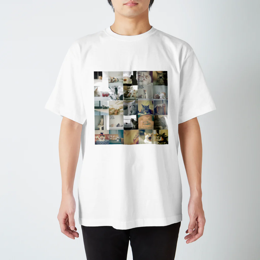 hakusanmarqshopの我が家の猫 スタンダードTシャツ