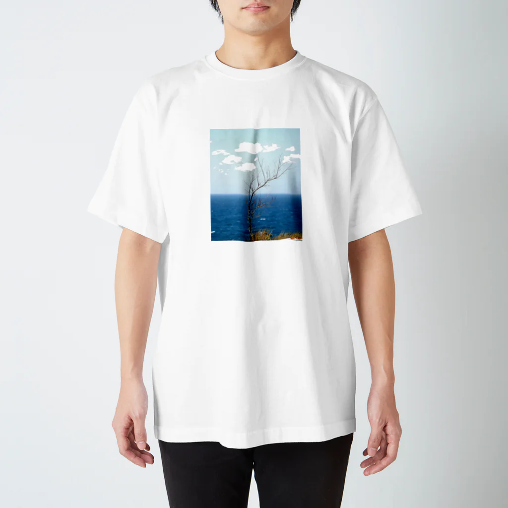 callinglilyの岬 スタンダードTシャツ