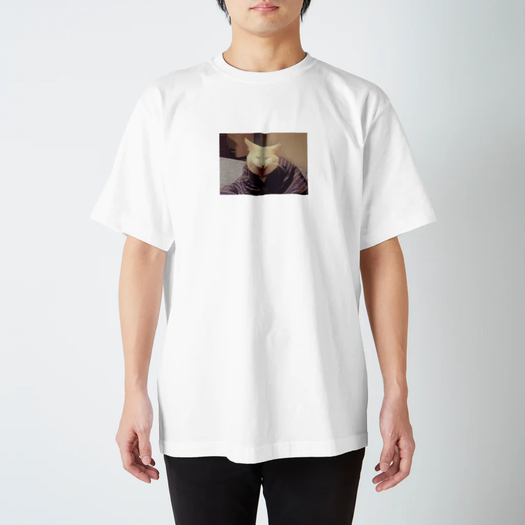 めだか村のどんぶくネコ Regular Fit T-Shirt