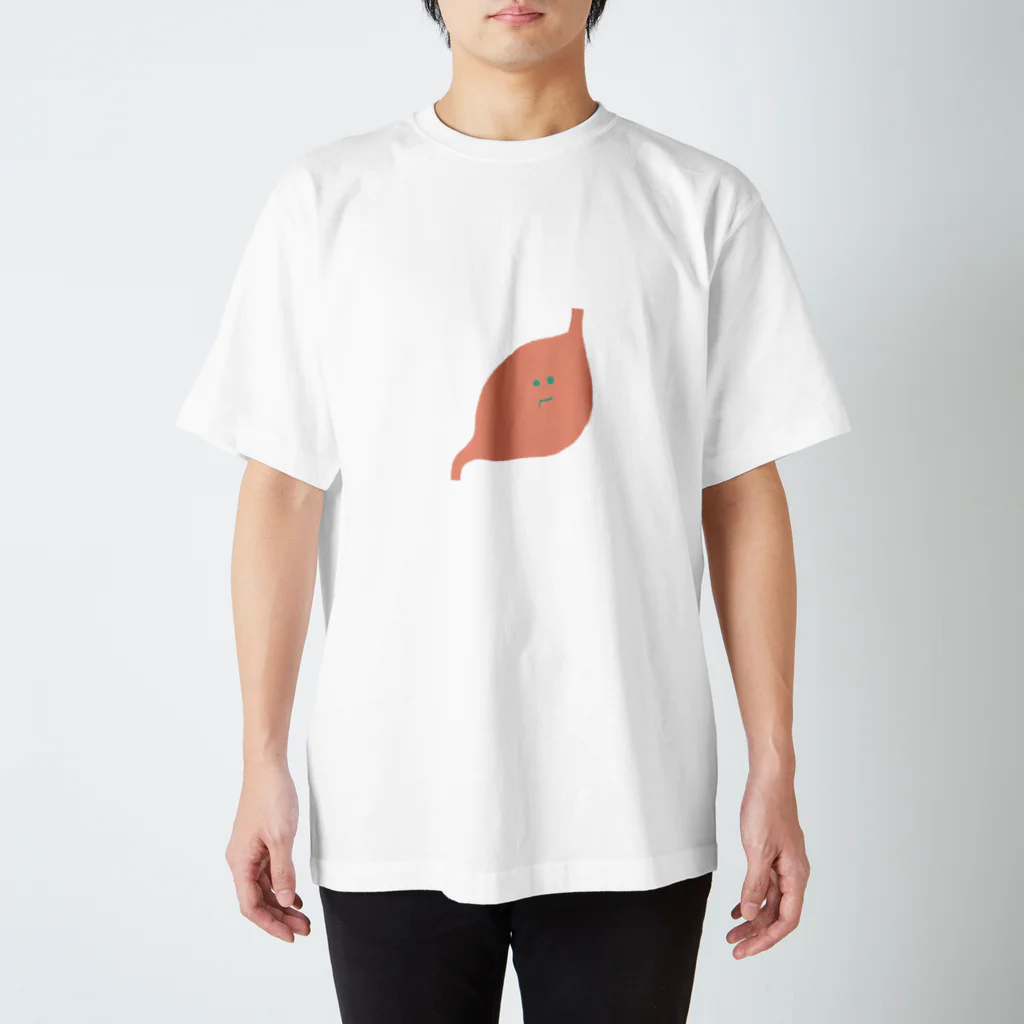 molの胃 Regular Fit T-Shirt