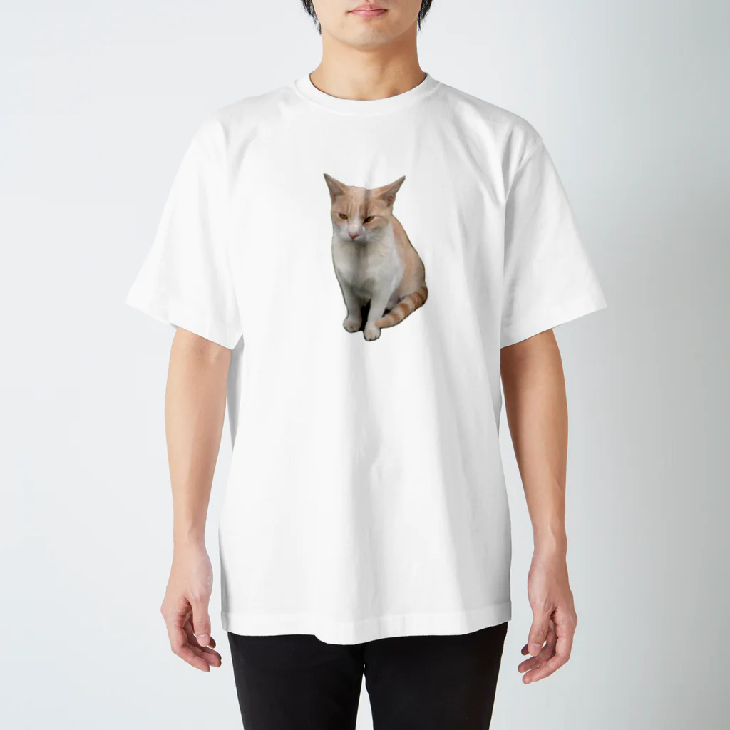 やぎ座A型の家の猫 Regular Fit T-Shirt