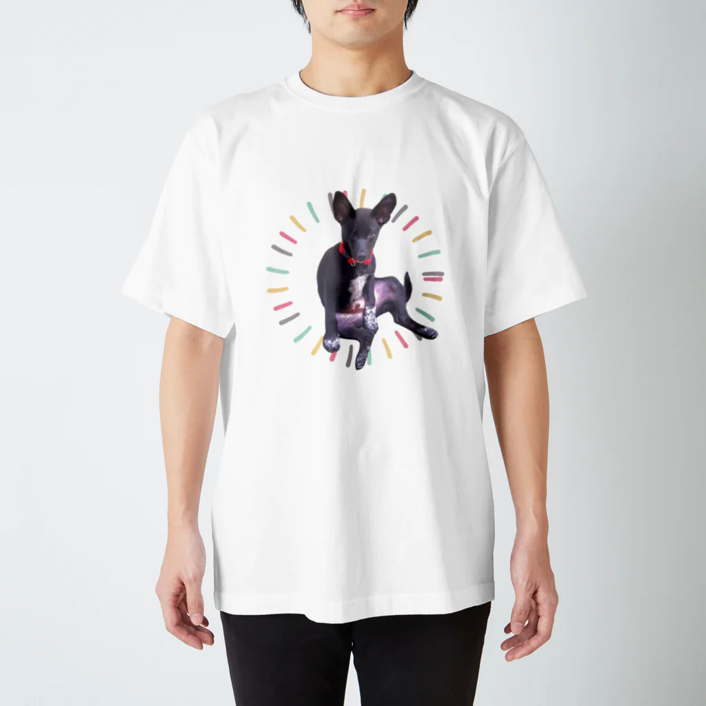 犬派が子猫を拾ったのでのはっちゃん スタンダードTシャツ