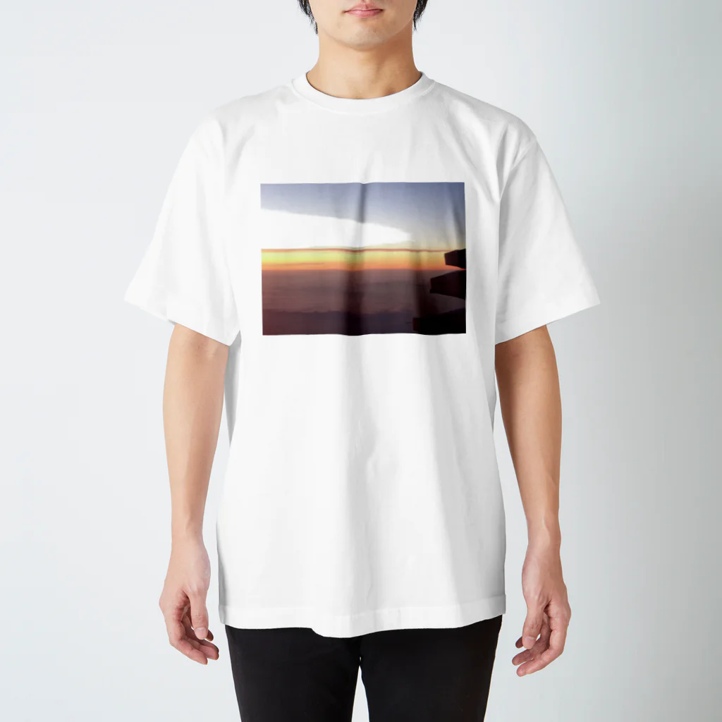 空飛ぶモモンガの空の旅～飛行機より Regular Fit T-Shirt